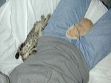 1074_2kittens-napping